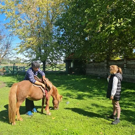 Wood Mood Tiganjica *