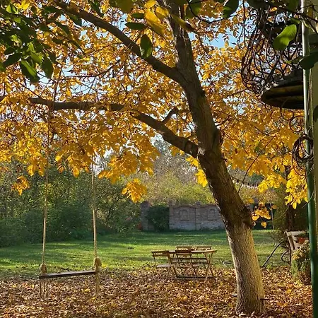 Wood Mood Tiganjica Stajicevo