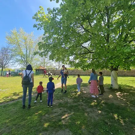 Wood Mood Tiganjica Stajicevo