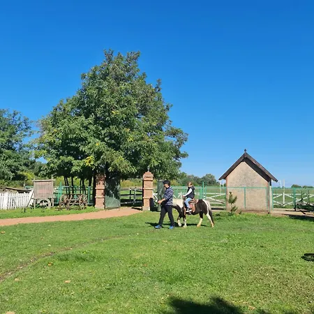 Kır Evi Wood Mood Tiganjica